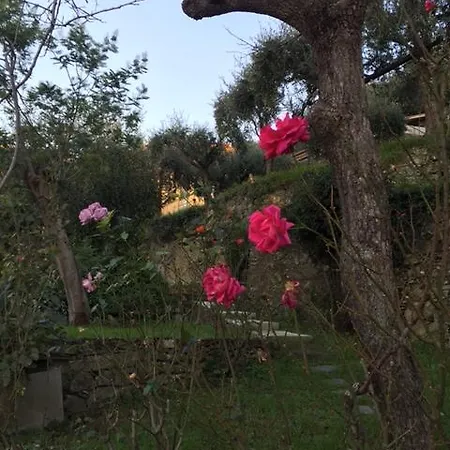 Casa vacanze Rifugio Paradiso